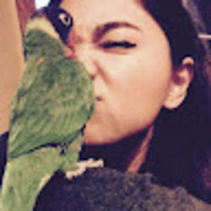 Meet your Posher, Frankie